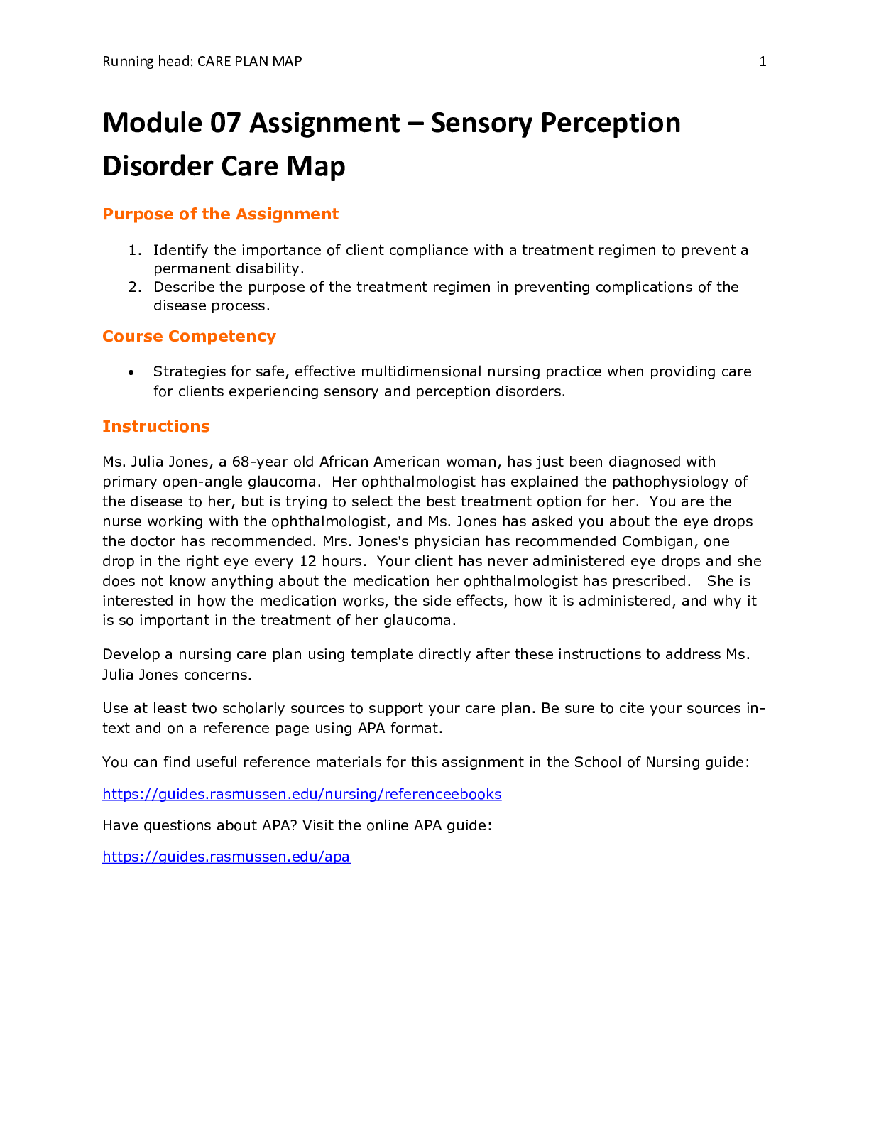 NUR 2356 Sensory Perception Disorder Care Map  Module 07 Assignment